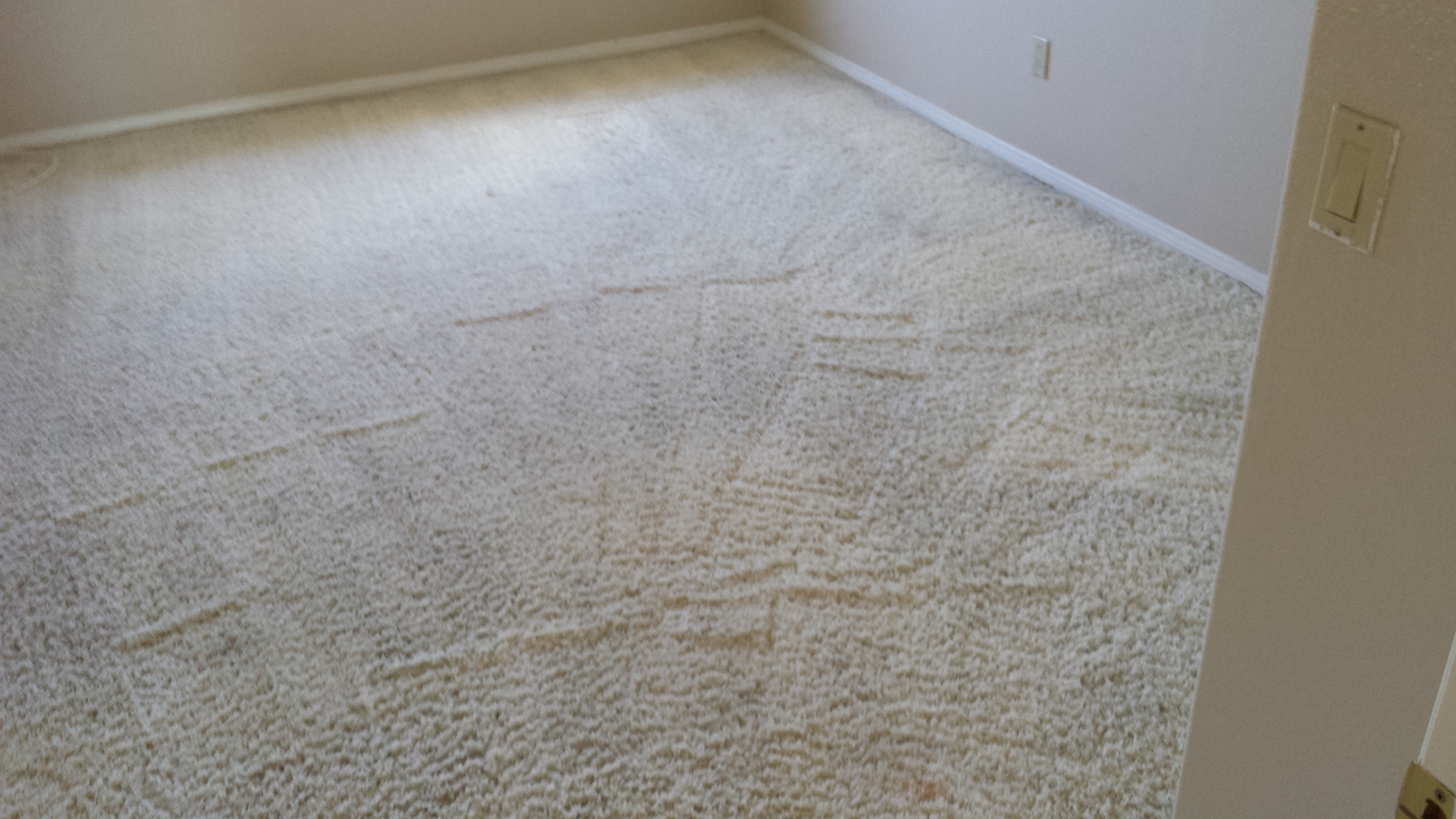 Carpet Cleaning San Diego | San Diego Carpet Repair & Cleaning